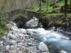 Valgaudemar - Oulles du Diable: pequena ponte que atravessa a torrente, rochas, pedras e árvores; no Parque Nacional dos Écrins (cordilheira Ecrins)