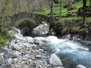 Valgaudemar - Oulles du Diable: kleine Brücke überspannt den Wildbach Navette, Felsen, Gestein und Bäume; im Nationalpark Ecrins (Ecrins Massiv)