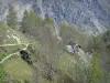 Valgaudemar - Vallée du Valgaudemar : sentiers, arbres, ferme et montagne ; dans le Parc National des Écrins (massif des Écrins)