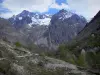 Valgaudemar - Vallée du Valgaudemar : sentier, arbres et montagnes aux cimes enneigées ; dans le Parc National des Écrins (massif des Écrins)