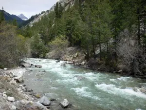 Valle del Clarée - Clarée río rodeado de árboles