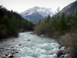 Valle del Clarée - Clarée río rodeado de árboles y montañas