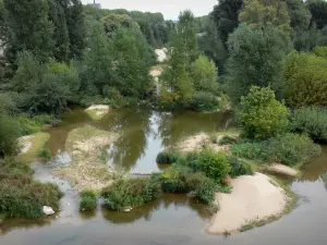 Valle del Loira - Loira, bancos de arena, la vegetación, islas con árboles en Orleans