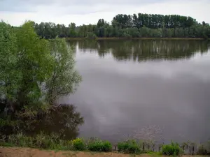 Valle del Loira - Río (Loira), los árboles en el agua y las costas