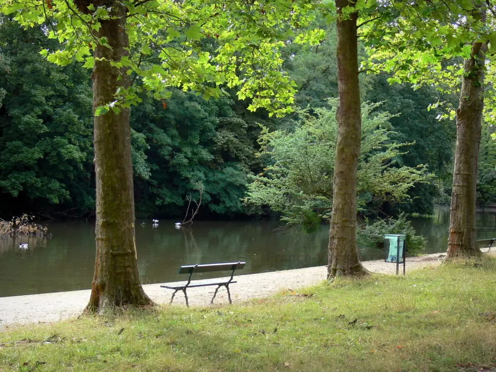 Guía de Valle del Marne - Bosque de Vincennes - Árboles y banco junto al agua.