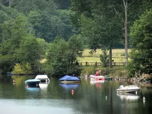 Valle del Mayenne - Barcos en el río Mayenne y los árboles a la orilla del agua, Daon