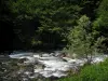 Valle del Pique - Río con rocas y árboles a la orilla del agua, en los Pirineos