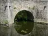 Valle del Thouet - Ponte romanico sul fiume Gourgé Thouet