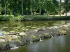 Valle del Thouet - Thouet riva del fiume e piantato con alberi