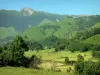 Vallée d'Aspe - Pâturages de la vallée béarnaise entourés de montagnes