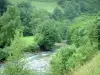 Vallée d'Aspe - Cours d'eau bordé d'arbres