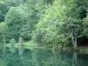 Vallée de Bethmale - Lac de Bethmale et sa rive plantée d'arbres ; dans le Parc Naturel Régional des Pyrénées Ariégeoises, en Couserans