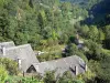 Vallée de Bethmale - Toits de maisons et arbres ; dans le Parc Naturel Régional des Pyrénées Ariégeoises, en Couserans