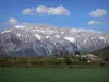 Vallée du Champsaur - Prairies, arbres et hameau de la vallée du Champsaur avec vue sur les montagnes du massif du Dévoluy