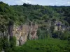 Vallée de la Dordogne - Falaises et arbres, en Quercy