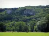 Vallée de la Dordogne - Champ, arbres et parois rocheuses, en Quercy