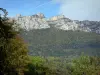 Vallée du Grésivaudan - Forêt (arbres) du Grésivaudan dominée par les falaises (parois rocheuses) du massif de la Chartreuse