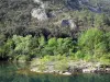 Vallée de l'Hérault - Fleuve Hérault et arbres