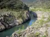 Vallée de l'Hérault - Fleuve Hérault, roche et arbustes