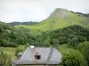 Vallée de la Jordanne - Parc Naturel Régional des Volcans d'Auvergne : maison avec vue sur un paysage verdoyant et préservé