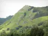 Vallée de la Jordanne - Parc Naturel Régional des Volcans d'Auvergne : paysage forestier et montagneux