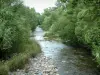 Vallée de Munster - Rivière de la Fecht bordée d'arbres