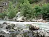 Vallée de la Nive - Rivière Nive et arbres au bord de l'eau