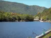 Vallée d'Orlu - Vallée de l'Oriège : lac d'Orgeix (lac de Campauleil), barrage, arbres et montagne, cannes à pêche en premier plan