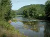 Vallée du Tarn - Rivière (le Tarn) bordée d'arbres