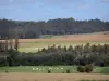 Vallei van de Ardre - Fields, kudde koeien in een weiland, bomen
