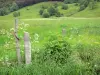 Vallei van Cheylade - Parc Naturel Régional des Volcans d'Auvergne: Afsluiting van een bloeiende weide