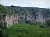 Vallei van de Dordogne - Cliffs en bomen, in de Quercy