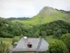 Vallei van Jordanne - Parc Naturel Régional des Volcans d'Auvergne: huis met uitzicht op een groen landschap en bewaard