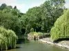 Vallei van de Loir - Loir rivier omzoomd met bomen van het Handvest-sur-le-Loir