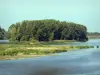 Vallei van de Loire - Loire rivier, vegetatie, met bomen en eiland oever op de achtergrond