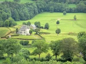 Vallei van Mars - Parc Naturel Régional des Volcans d'Auvergne: huis, omringd door weilanden en bomen