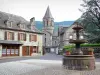 Vallei van Mars - Parc Naturel Régional des Volcans d'Auvergne: fontein, kerktoren en huizen in het dorp Vaulmier