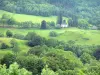 Vallei van Mars - Parc Naturel Régional des Volcans d'Auvergne: groen landschap