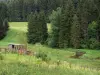 Vallei van Mouthe - Hut, wilde bloemen, planten, rivieren en bomen (bomen) in het Regionaal Natuurpark van de Haut-Jura