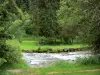 Vallei van Mouthe - Rivier de Doubs, banken en bomen in het Regionaal Natuurpark van de Haut-Jura