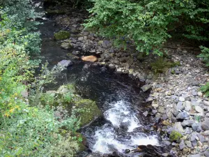 Vallei van Rentières - Vallei van de Couze Ardes: rivier vol met rotsen en struiken, in het Regionaal Natuurpark van de Auvergne Vulkanen