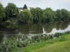 Vallei van de Vienne - Shore op de voorgrond, de rivier (Wenen) en treurwilgen (bomen) aan de rand van het water