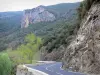 Vallespir - Tech Valley: Estrada ladeada de árvores e rochedos