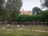 Valmagne修道院 - 修道院修道院，树木和藤蔓