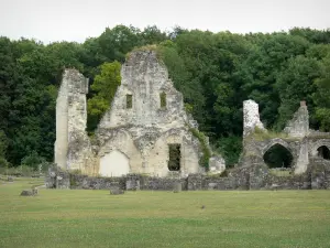 Vauclair abbey - Remains (ruins) of the old Cistercian abbey, trees of the Vauclair forest; in the town of Bouconville-Vauclair
