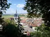 Vaucouleurs - Clocher de l'église Saint-Laurent et toits de maisons du village
