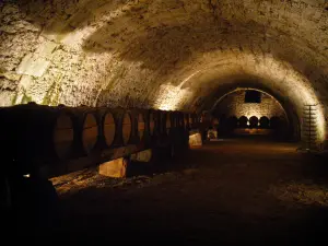 Vaux-le-Vicomte城堡 - 城堡内：酒窖