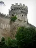 Veauce - Tour du château