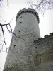 Veauce - Tower of the castle