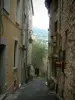 Vence - Narrow street with a yellow house and a stone house